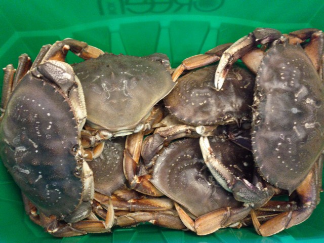 IMG_20130327_193007_sm