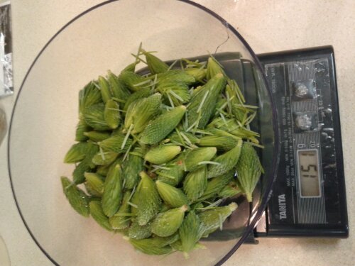 IMG_20130301_150731.jpg image