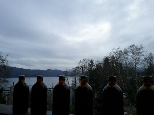 IMG_20130301_155739.jpg image