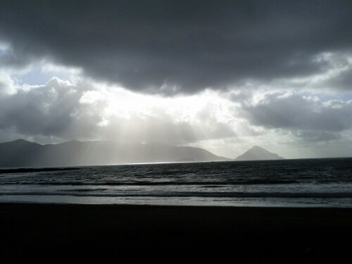 IMG_20130309_161026.jpg image