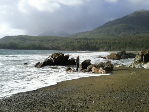 IMG_20130309_161543.jpg image