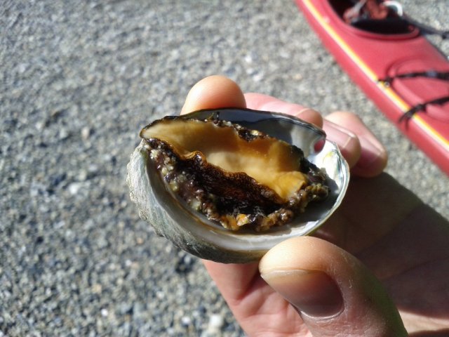 IMG_20130421_164008_sm