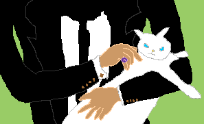 number one uses an affiliative leadership style with his cat