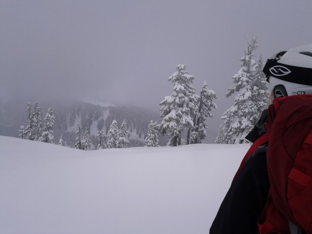 Long range navigation may have improved but the snow surface is so smooth and the light so diffuse that short range navigation is still almost impossible. Sometimes we just walked right into a snow drift.