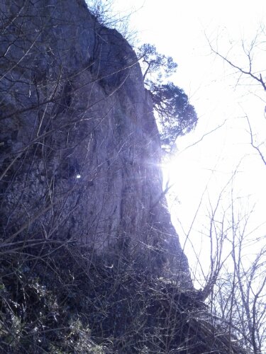 IMG_20140309_140241.jpg image