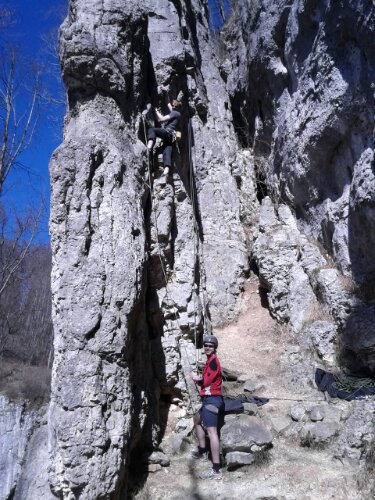 IMG_20140309_142240.jpg image