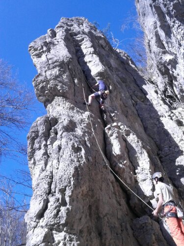 IMG_20140309_145658.jpg image