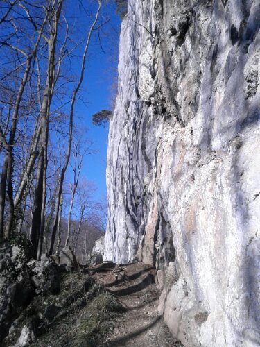 IMG_20140309_164722.jpg image