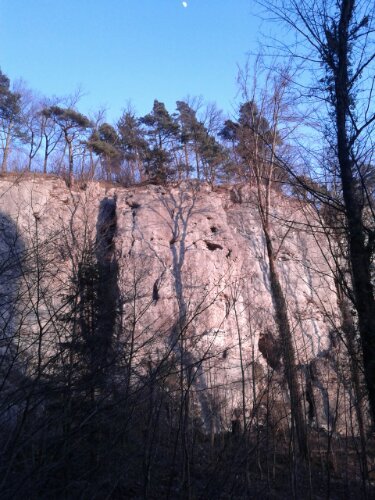 IMG_20140309_180126.jpg image