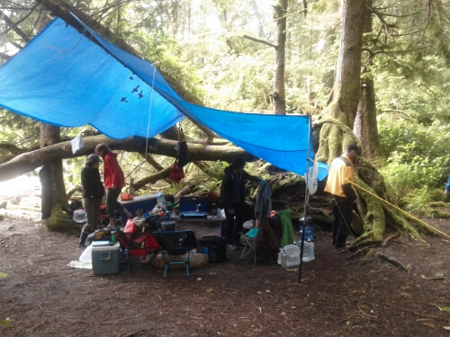 IMG_20140627_132419.jpg image