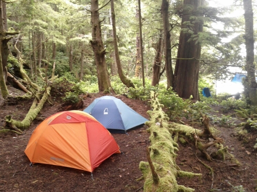 IMG_20140627_132608.jpg image