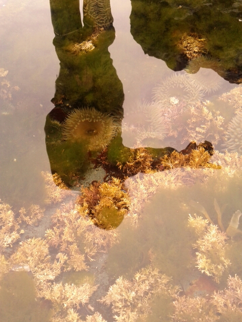 IMG_20140627_140225.jpg image