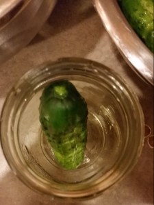 excitement level is rising